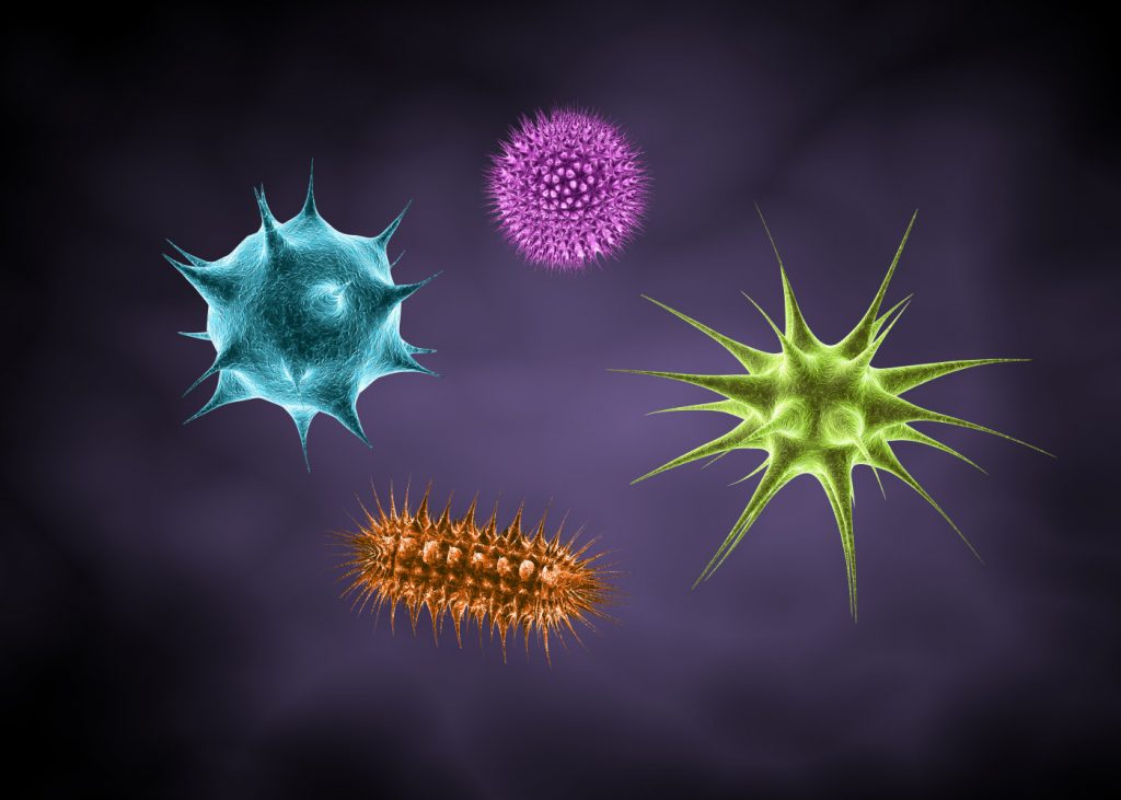 MS Risk Linked to Herpes Virus 6A and Not More Common 6B herpes virus and MS