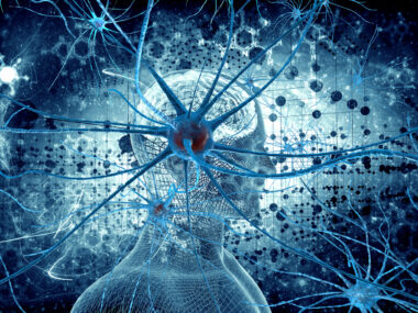 memory study