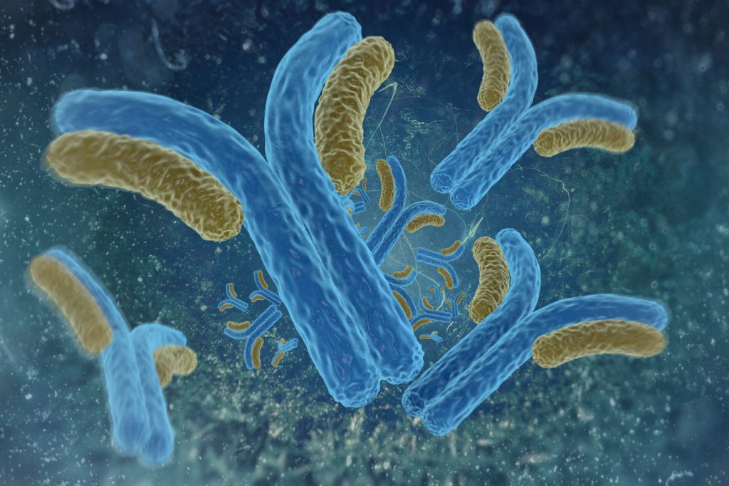 blocking-monocytes-from-nervous-system-eases-ms-severity-early-study