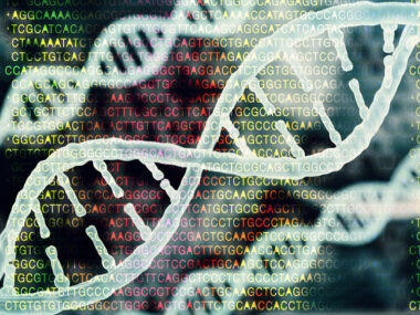 Genetic MS Risk