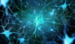 nerve cell and glia communication may have MS implications/multiplesclerosisnewstoday.com/neurons and glia