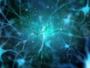 nerve cell and glia communication may have MS implications/multiplesclerosisnewstoday.com/neurons and glia
