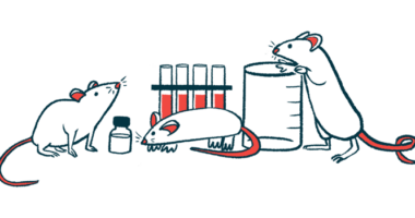 Mice sniffing and otherwise examing a beaker, test tubes and a bottle on a laboratory table.