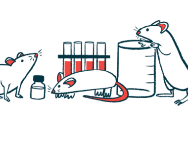 Mice sniffing and otherwise examing a beaker, test tubes and a bottle on a laboratory table.