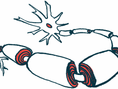 An illustration of neurons covered by the myelin sheath.