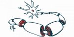 myelin sheath | Multiple Sclerosis News Today | illustration of neurons