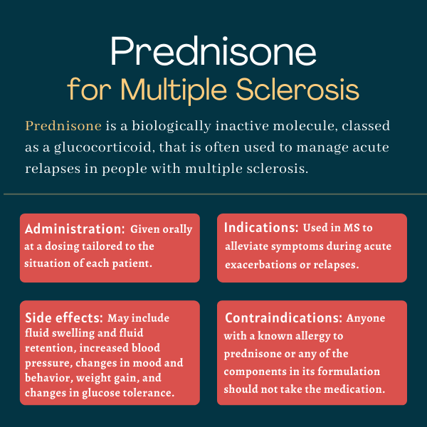 prednisone, glucocorticoid, ms | Multiple Sclerosis News Today | infographic of prednisone for MS, including administration, indications, side effects, and contraindications