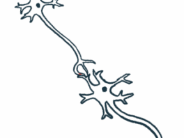 vagus nerve stimulation multiple sclerosis | Multiple Sclerosis News Today | illustration of nerve cells