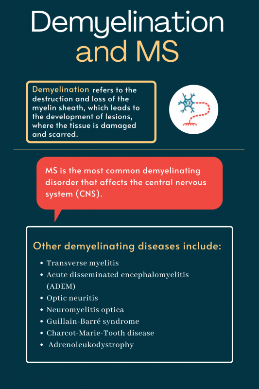 demyelination | Multiple Sclerosis News Today | infographic depicting what demyelination is and examples of demyelinating diseases