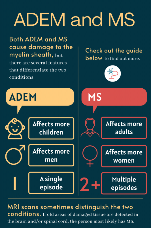 ADEM | Multiple Sclerosis News Today | infographic depicting the differences between ADEM and MS