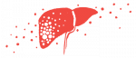 methylprednisolone liver | Multiple Sclerosis News Today | illustration of person's liver