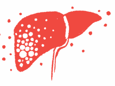 methylprednisolone liver | Multiple Sclerosis News Today | illustration of person's liver