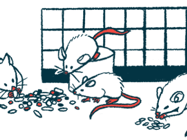 Mice eat from a pile of food in a cage.