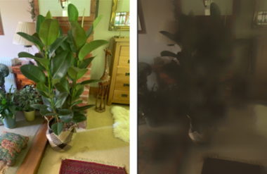 sensory overload and MS | Multiple Sclerosis News Today | two photos of a house plant: the one on the left is clear, while the one on the right is dark and blurry