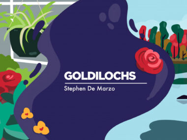 banner image for Stephen De Marzo's column 