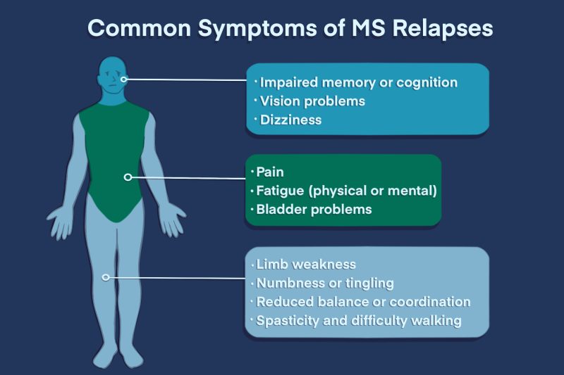 common symptoms of MS relapses | Multiple Sclerosis News Today | infographic depicting common symptoms of MS relapses