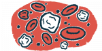 An illustration of white blood cells, immune cells that protect from infection.