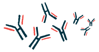 An illustration shows antibodies floating together.