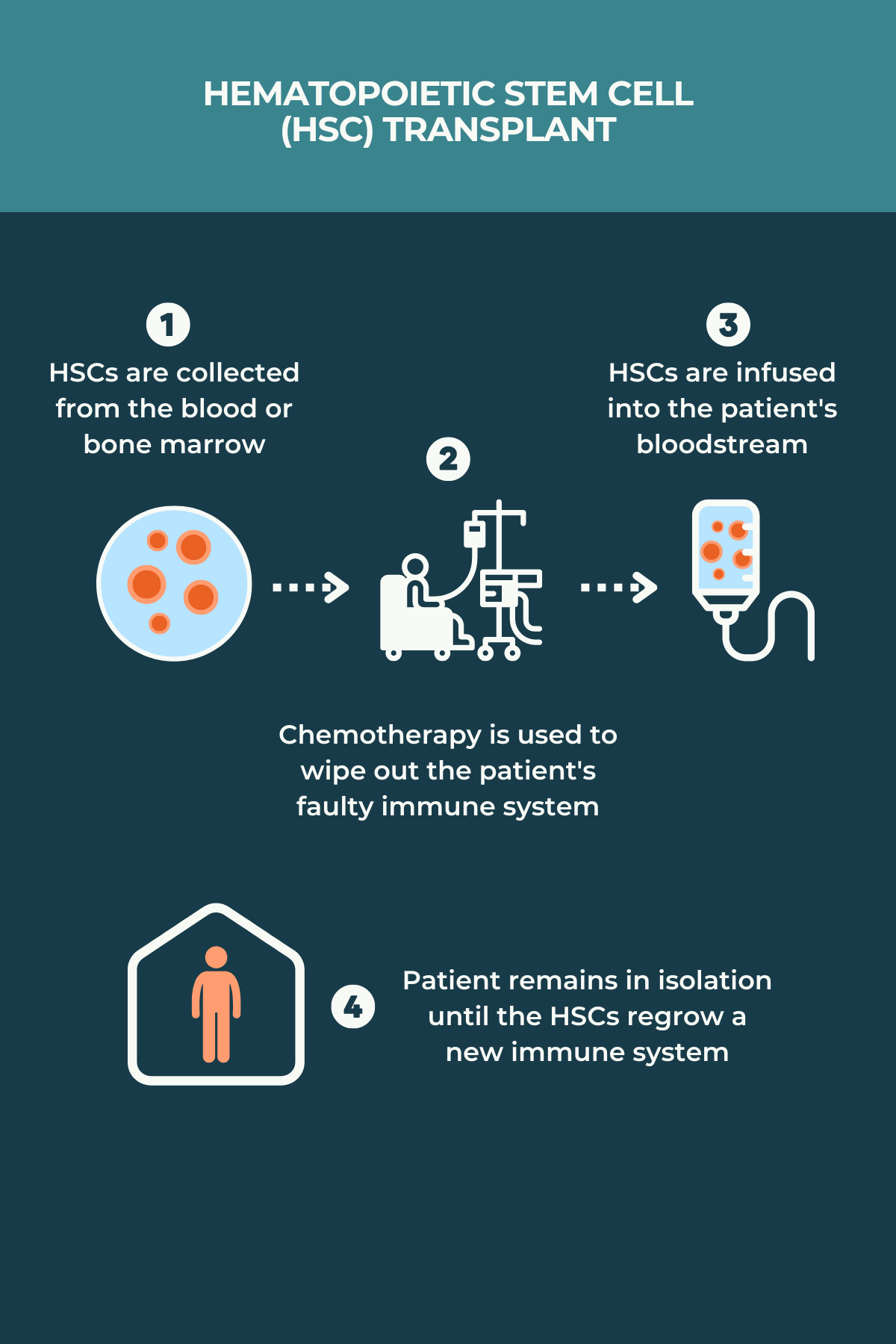 Stem cell therapy for MS | Multiple Sclerosis News Today