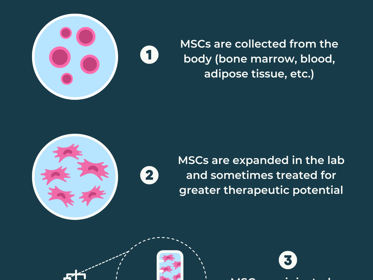 National Cancer Institute - What are bone marrow transplantation and  peripheral blood stem cell transplantation? These procedures restore stem  cells that have been destroyed by high doses of chemotherapy and/or  radiation therapy
