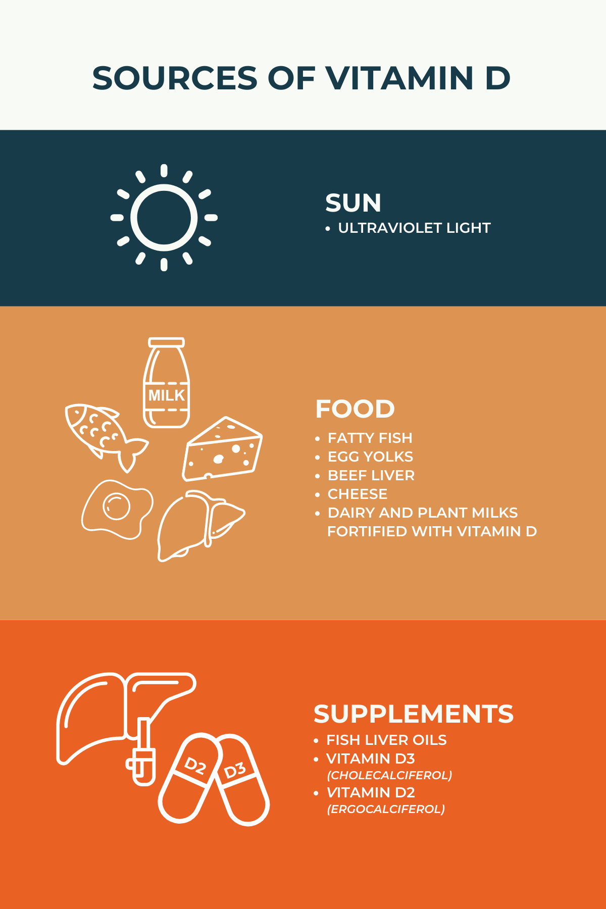 vitamin D and MS | Multiple Sclerosis News Today | infographic depicting sources of vitamin D