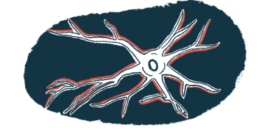The illustration shows an image of a neuron.