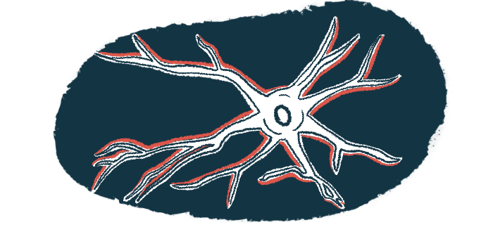 The illustration shows an image of a neuron.