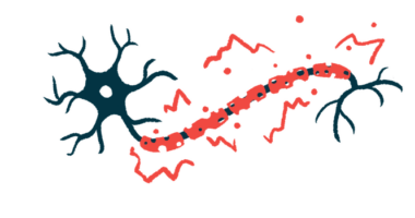 An illustration provides a close-up view of damaged myelin.