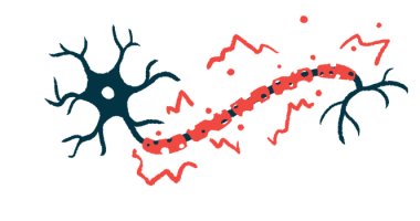 An illustration provides a close-up view of damaged myelin.