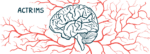 In this profile image, a human brain is surrounded by a network of blood vessels.