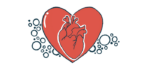 An illustration for cardiac health, showing a the heart as an organ inside a heart-shaped drawing.