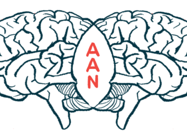 Illustration shows two human brains divided by the letters 
