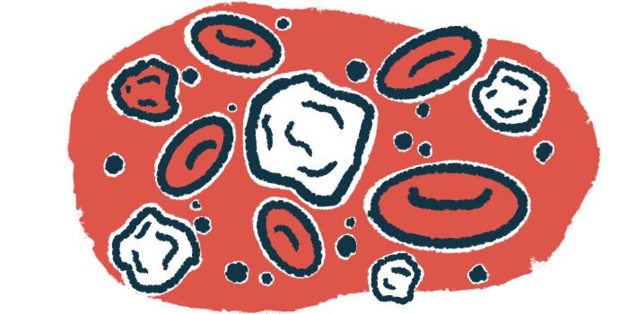 White blood cells and red blood cells are shown in this illustration.