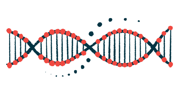 The double helix of DNA, found in the nucleus of most cells, is shown.
