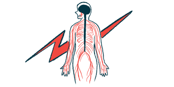 An illustration of the central nervous system.