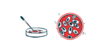 Two views of a Petri dish are shown in this illustration.