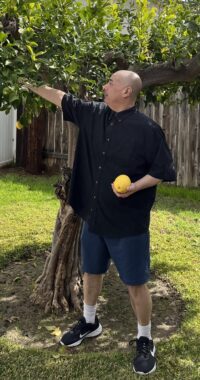 A man with a shaved head and dressed in a black shirt and blue shorts picks a yellow piece of fruit from a tree in the backyard of a home.