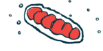 An illustration shows a close-up view of mitochondria.