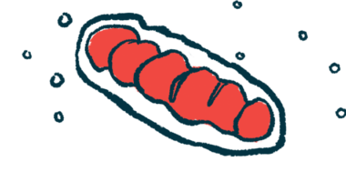 An illustration shows a close-up view of mitochondria.