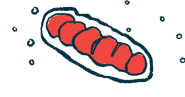 An illustration shows a close-up view of mitochondria.