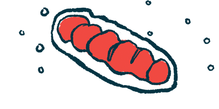 An illustration shows a close-up view of mitochondria.
