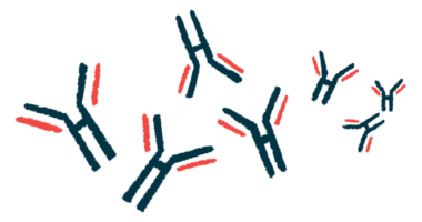 An illustration of antibodies is shown.