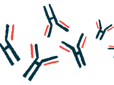 An illustration of antibodies is shown.