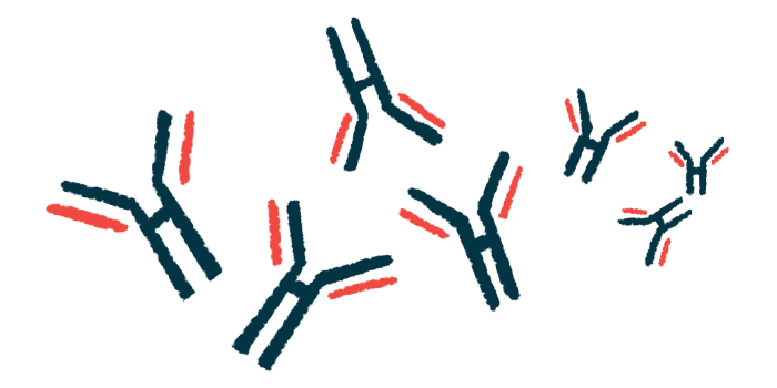 An illustration of antibodies is shown.