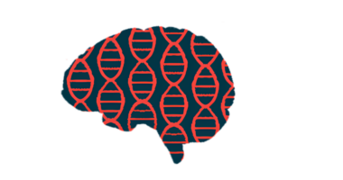 This Illustration shows a profile of the human brain with DNA chains superimposed.