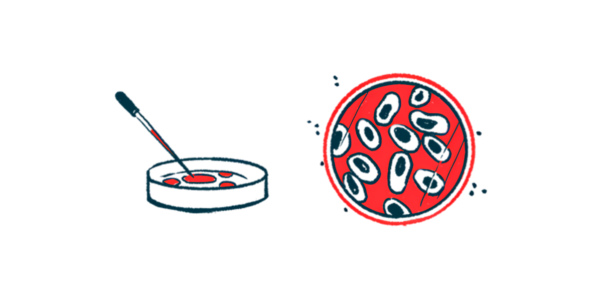 An illustration of a petri dish from two views.