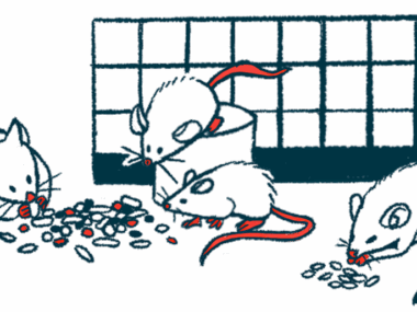 Mice eat from a pile of food alongside a cage wall.