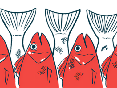 Fish lie heads facing up and tails facing up, as if on display at a market.