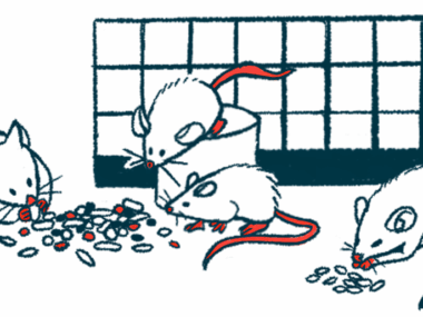 Rodents eat from a pile of food alongside a cage wall.