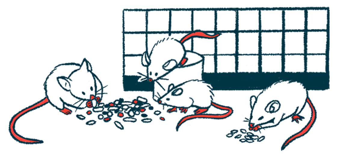 Rodents eat from a pile of food alongside a cage wall.